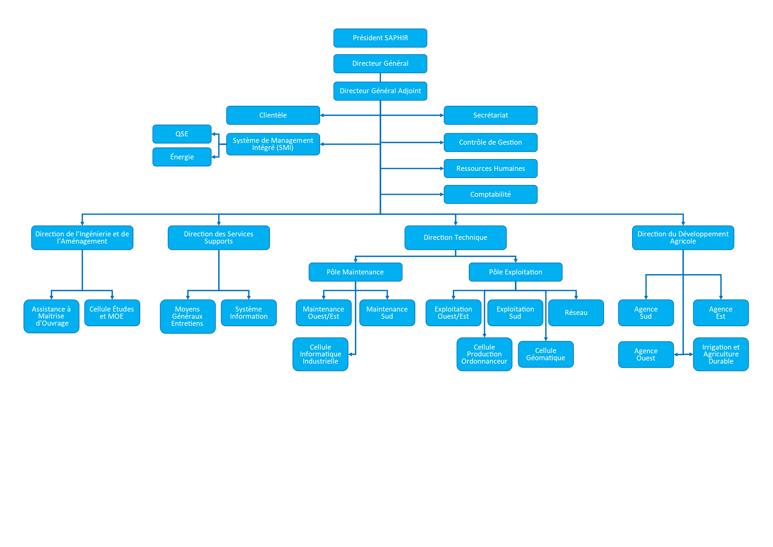 Organigramme Saphir